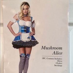 Adult Alice In Wonderland Costume S/M